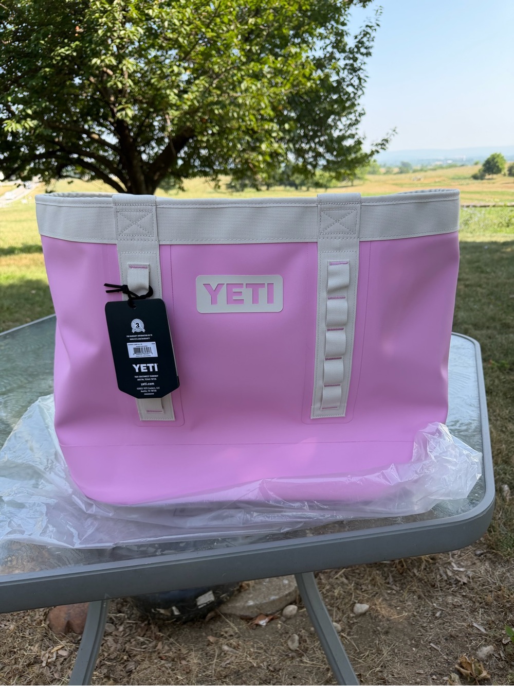 Yeti Comino Carryall 50- PINK